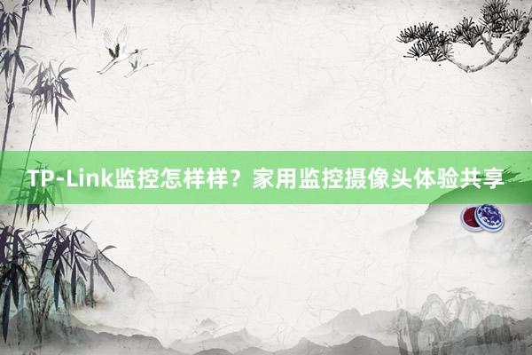TP-Link监控怎样样？家用监控摄像头体验共享